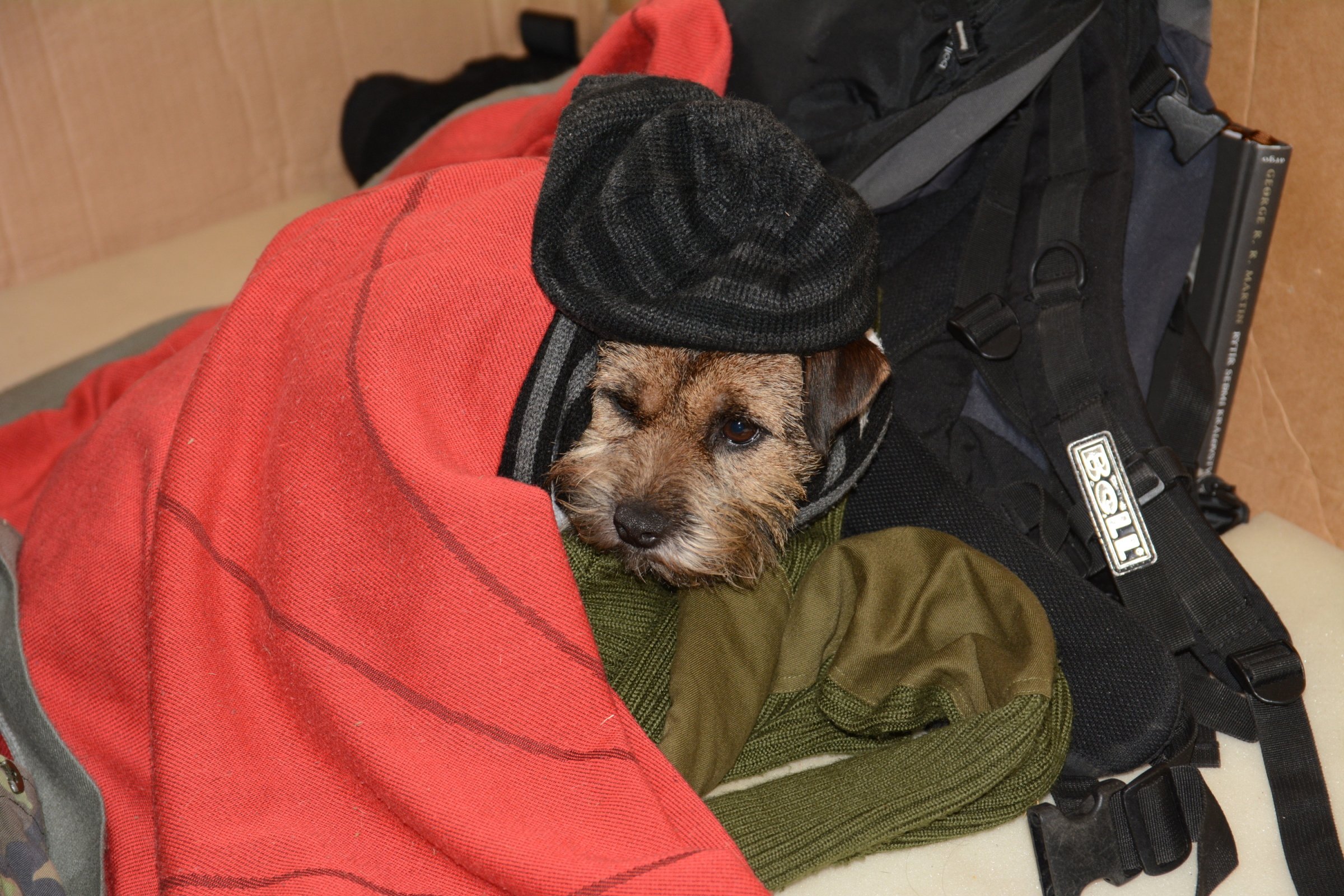 Silvestr v Novohradských horách 2014