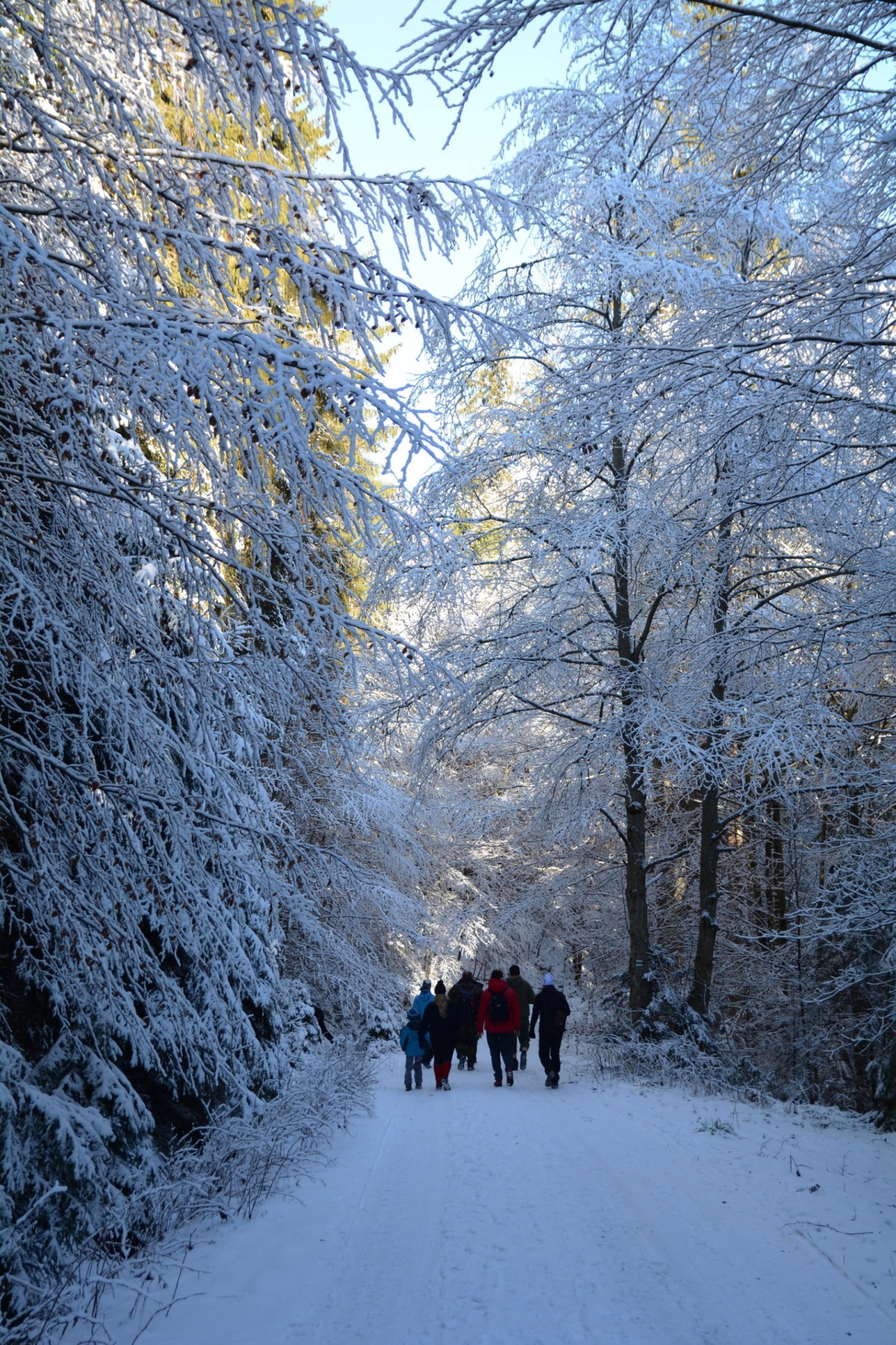 Silvestr v Novohradských horách 2016