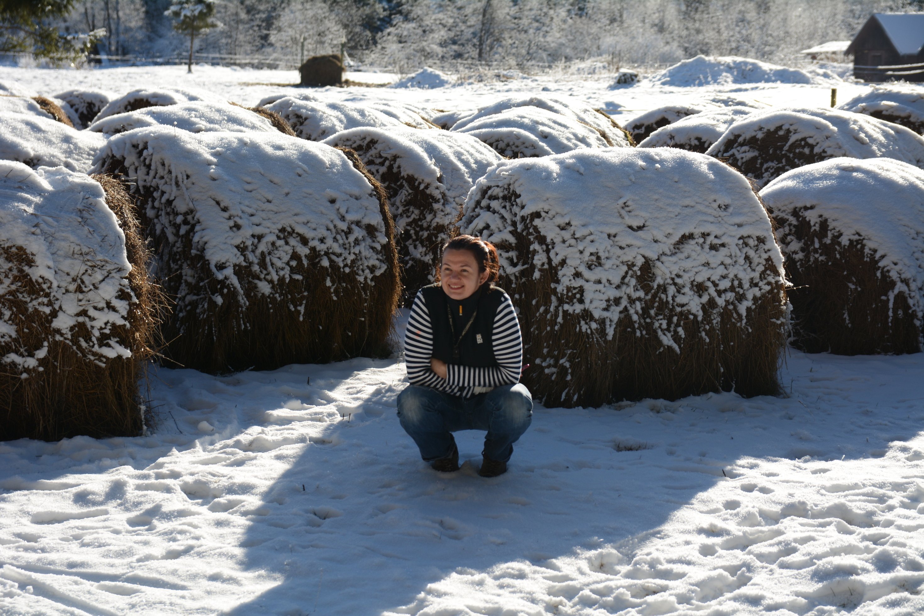 Silvestr v Novohradských horách 2016